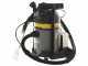 Lavor GBP 20 - Staubsauger-Teppichbodenreiniger mit Saug- und Blasfunktion