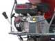 Blue Bird 310-SHL 1200 - H&auml;cksler mit Raupenantrieb und Motorschubkarre  -  Loncin G420F Motor