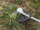 Bosch Advanced BrushCut 36V 23-750 - Akku-Motorsense - 2Ah