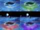 Schwimmende Solar-Lampe - Intex