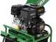 GreenBay GB-WRC 55 RB- H&auml;cksler mit Verbrennungsmotor - Benzinmotor RATO R210-A da 7 PS