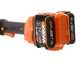 Worx WG183E - Akku-Motorsense - 40V - 2x20/2Ah