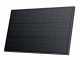 EcoFlow starres Solarpanel - 2x100 W