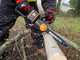 Worx Nitro WG350E - Akku-Kettens&auml;ge -  30 cm Schwert- 20V/4Ah