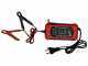 Blue Bird LT C102H TWIN - Rasentraktor mit Hydrostatgetriebe - Fangkorb 245 L