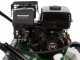 GreenBay PS 700-25 - Vertikutierer mit fester Messerwalze