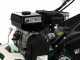 GreenBay PS 700-25 - Vertikutierer mit fester Messerwalze