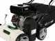 GreenBay PS 700-25 - Vertikutierer mit fester Messerwalze