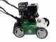 GreenBay PS 700-25 - Vertikutierer mit fester Messerwalze