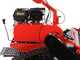 Blue Bird FM860 - Professioneller Hochgrasm&auml;her - Loncin G420F