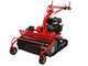 Blue Bird FM860 - Professioneller Hochgrasm&auml;her - Loncin G420F