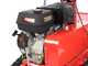 Blue Bird FM860 - Professioneller Hochgrasm&auml;her - Loncin G420F