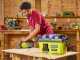Ryobi RV1811-0 - Tragbarer Akku-Trocken- / Nassauger - 18V 4.0Ah