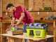 Ryobi RV1811-0 - Tragbarer Akku-Trocken- / Nassauger - 18V 4.0Ah