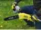 Ryobi RY36PP25A-0 - Akku-Hochentaster mit Verl&auml;ngerung - 25 cm Stang - MAX POWER 36V 2Ah