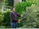 Ryobi RY18HT50A-120 Akku-Heckenschere - S&auml;geblattl&auml;nge 50 cm - 18 V 2,0 Ah