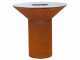 Icon 100 Grill aus Corten