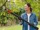 Bosch Advanced Prune 18 V-45 - Akku-Baumschere- 18 V- 2 Ah