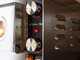 Calory Forni CF55M - Pizzaofen