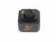 Oliviero Flex PCF Premium Cordless - Olivenr&uuml;ttler mit Lithium-Batterie - Carbonstange - 245 cm - 2x 21,6 V 4,5 Ah