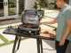Ninja Woodfire Pro XL OG901EU - Elektrogrill und Smoker