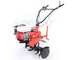 Motorhacke AgriEuro Premium-Line AGRI 102 - Honda GX 200