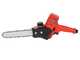 Blue Bird PS 22-40 + CS22-08 - Kit mit Gartenschere + Akku-Hochentaster - 43.2V 4Ah