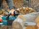 Makita XGT UC021G -   Akku-Kettens&auml;ge - Schnitt 30 cm - 40V/5Ah