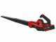 Einhell GE-UB 18/250 Li E - Akku-Laubbl&auml;ser - 18V/4,0Ah
