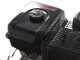 Italian Power RG 7.2-130Q-Z - Benzin-Motorhacke 15 PS - Motor Rato R420