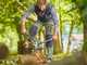 Gardena EnergyCut Pro S - Bypass-Astschere - L&auml;nge 60 cm