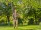 Gardena StarCut Pro S - Baumschere mit festem Schaft 160 cm - &Oslash; 32 mm