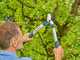 Gardena EasyCut S - Bypass-Astschere - L&auml;nge 50 cm