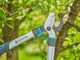 Gardena EasyCut S - Bypass-Astschere - L&auml;nge 50 cm