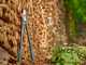 Gardena EnergyCut Pro L - Gartenschere Bypass - 75 cm