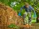 Gardena EnergyCut Pro L - Gartenschere Bypass - 75 cm