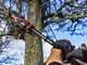 Skil 0514 CA - Akku-Teleskop-Hochentaster - 20V - SOLO - OHNE AKKU UND LADEGER&Auml;T