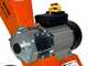 Forest Master FM4DDE-MUL-EU - Elektrischer H&auml;cksler - 4 PS