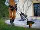 Worx WG173E - Akku-Rasentrimmer 3 in 1 - 20V 4Ah