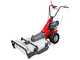Eurosystems Minieffe M150 RM - Benzin-Hochgrasm&auml;her - Sichelmulcher PRO - Honda GCVx 170
