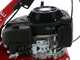Eurosystems Minieffe - Benzin Schlegelmulcher - Sichel Mulchm&auml;her PRO - Loncin 196 OHV
