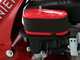 Eurosystems Minieffe - Benzin Schlegelmulcher - Sichel Mulchm&auml;her PRO - Loncin 196 OHV