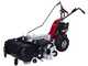 Eurosystems Minieffe - Benzin-Schlegelmulcher - Wiesenmulcher PRO - Loncin 196 OHV