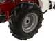 Eurosystems Minieffe M150 - Benzin-Mulcher - Allm&auml;her PRO V2 - B&amp;S 625 EXi