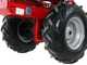 Eurosystems Minieffe M150 - Benzin-Mulcher - Allm&auml;her PRO V2 - B&amp;S 625 EXi
