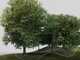 Gardena Smart SILENO free 600 m&sup2; Set - M&auml;hroboter - Bedienung mit Gardena Smart App - ohne Perimeter