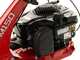 Eurosystems Minieffe M150 RM - Benzin-Mulcher - Profi-M&auml;her - B&amp;S 625 EXi