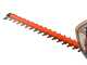 Worx WG918E - Kit Heckenschere + Rasentrimmer mit Akku - 20/2Ah