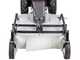 Eurosystems P55 &ndash; Benzin-Schlegelmulcher - Wiesenmulcher PRO V2 &ndash; RV200
