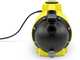 K&auml;rcher BP 6.000 Garden - Gartenpumpe - 1000 W - 6000 l/h